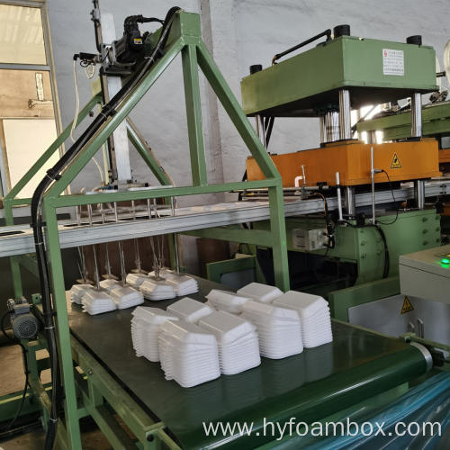 Foam Lunch Box Tray Making Machine